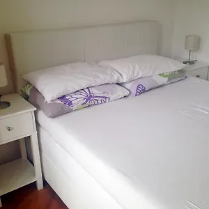  Apartman Blue Window